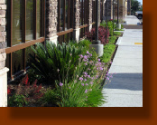 Office Landscaping in Roseville California