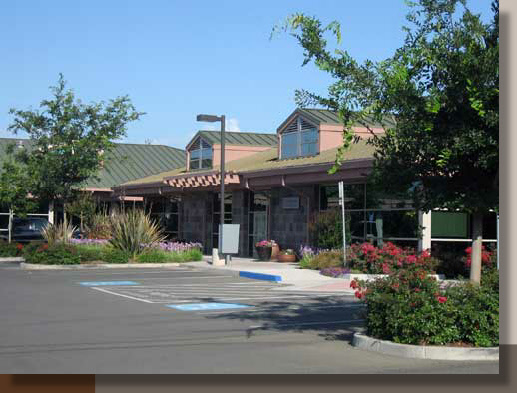 Landscaping for a Davis, California Office