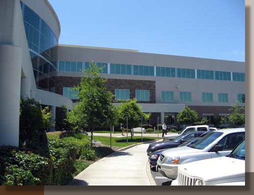 Corporate Office Landscaping in Folsom California