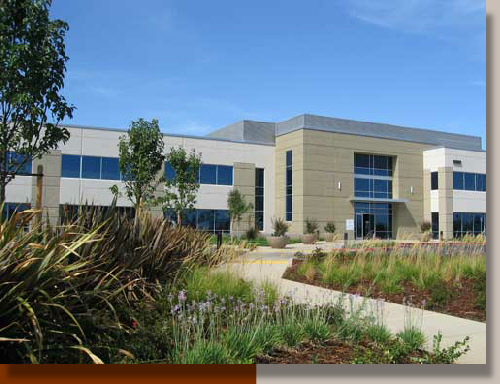 Landscaping a Rancho Cordova Corporate Office
