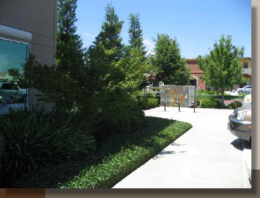 Folsom Corporate Center Landscaping