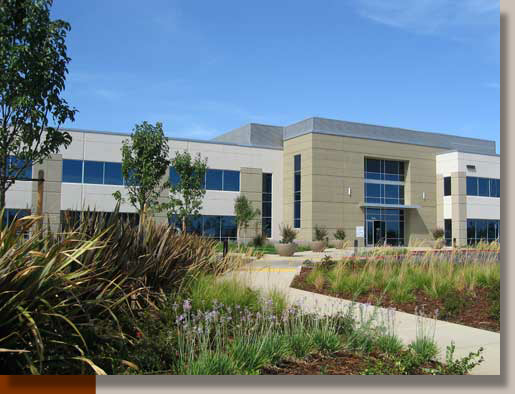 New Planting at Mather Commerce Center in Rancho Cordova