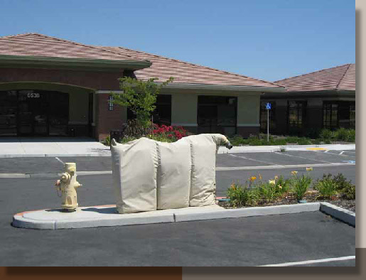 Fire Equipment and Landscaping at Rocklin 65 Offices