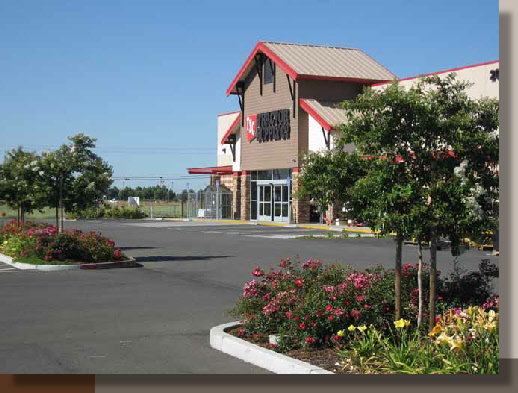 Parking Lot Planting Design in Solano County