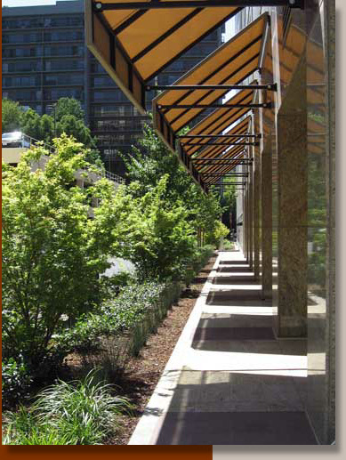 Landscaping at Five Hundred Capitol Mall in Sacramento