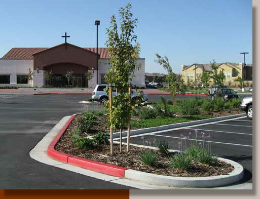 New Landscaping at Divine Mercy Church in Sacramento
