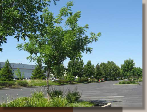 Tinker Rd. Warehouse in Placer County