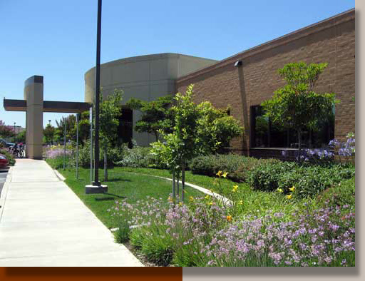 Medical Center Planting Design in Elk Grove