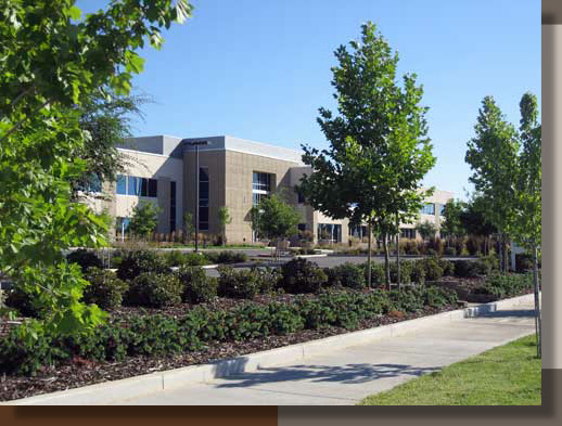 Mather Commerce Center Office Landscaping, Rancho Cordova, CA