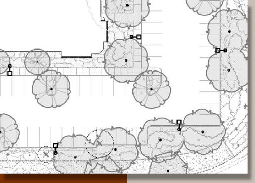 Resolving Conflicts Between Trees and Site Lighting