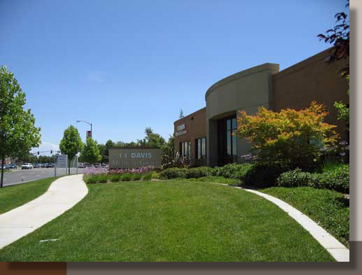 Parkway Landscaping in Elk Grove, California