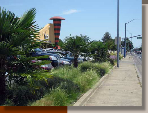 Eclectic Retail Center, Rancho Cordova CA