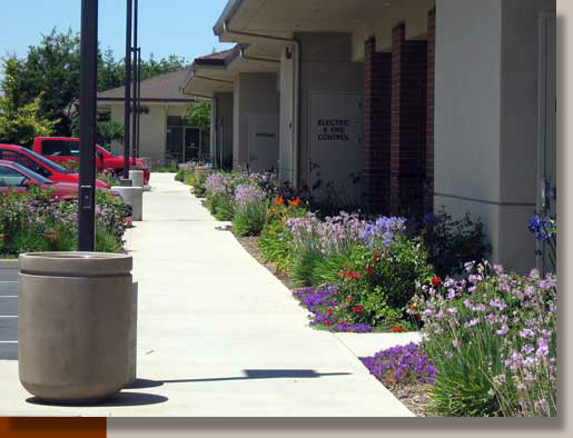 Planting Design at Laguna Professional Center in Elk Grove