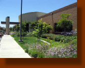 Medical Office Landscaping